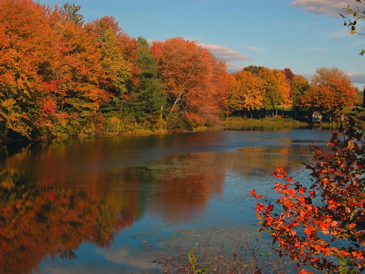Mt. Washington Fall Foliage